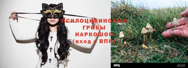 герыч Абинск